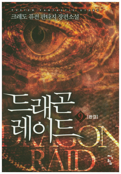 드래곤 레이드 9(완결)