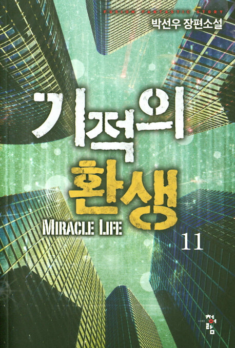 기적의 환생 11