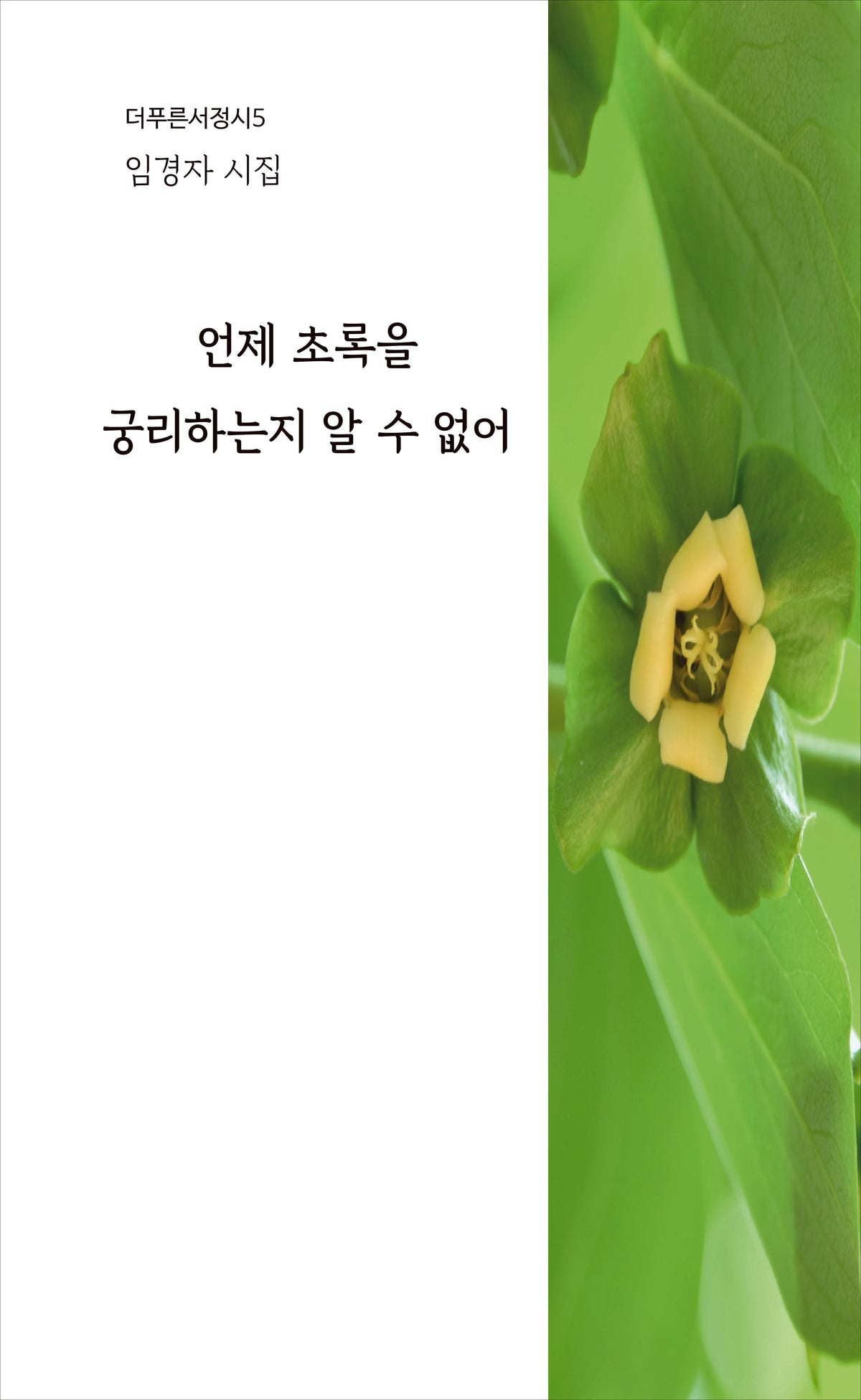 언제 초록을 궁리하는지 알 수 없어(더푸른서정시 5)