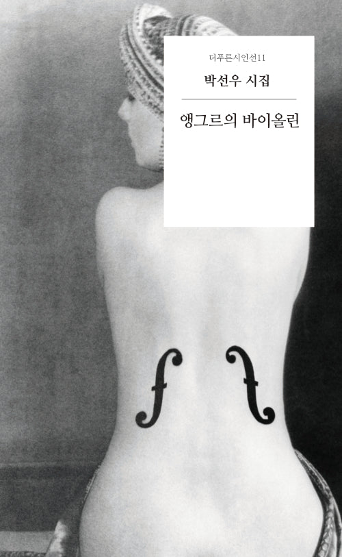 앵그르의 바이올린(더푸른시인선 11)