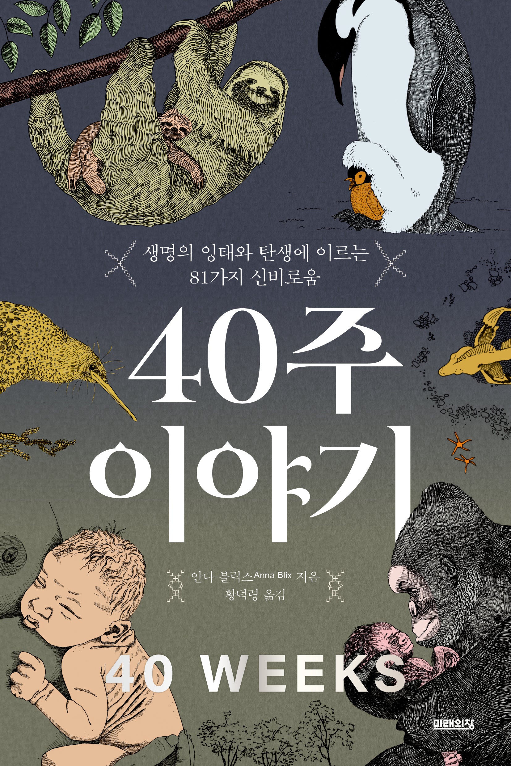 40주 이야기