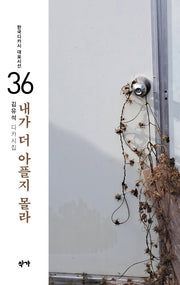 내가 더 아플지 몰라(한국디카시 대표시선 36)