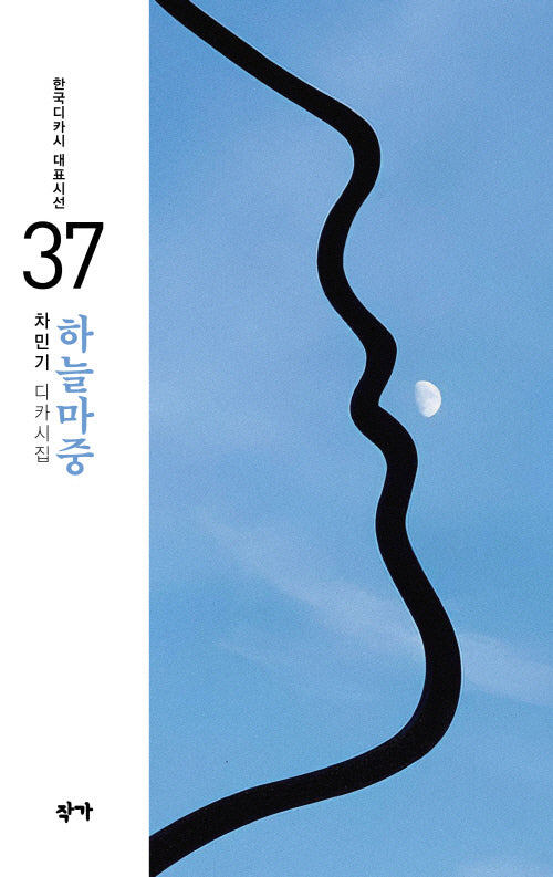 하늘마중(한국디카시 대표시선 37)