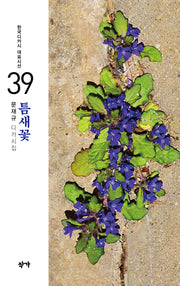 틈새꽃(한국디카시 대표시선 39)