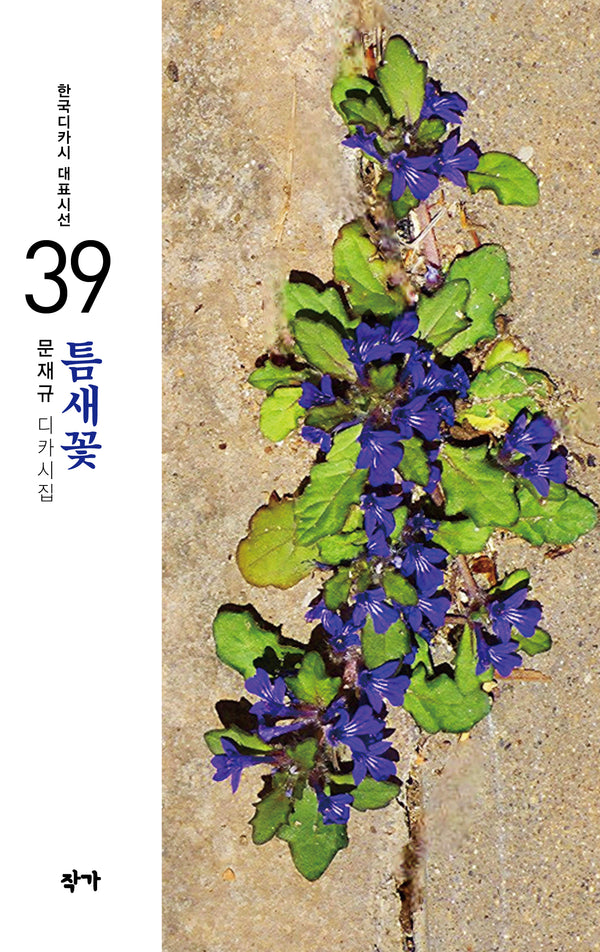 틈새꽃(한국디카시 대표시선 39)