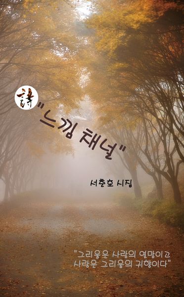 시 느낌채널(창작동네 시인선 205)