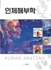 인체해부학