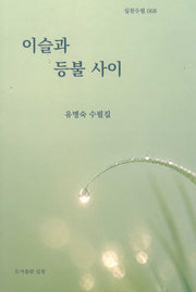이슬과 등불 사이