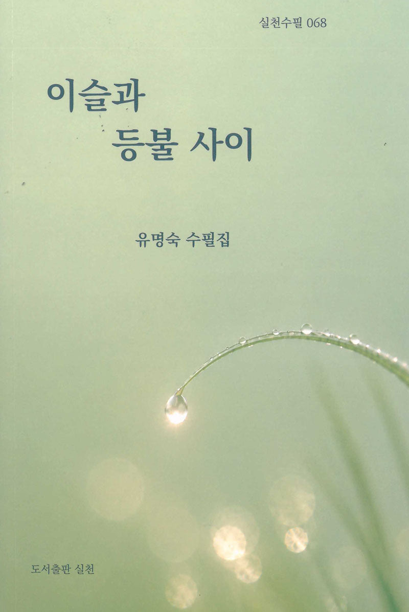 이슬과 등불 사이