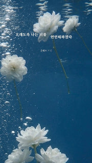 오래도록 나는 너를 연연해하겠다