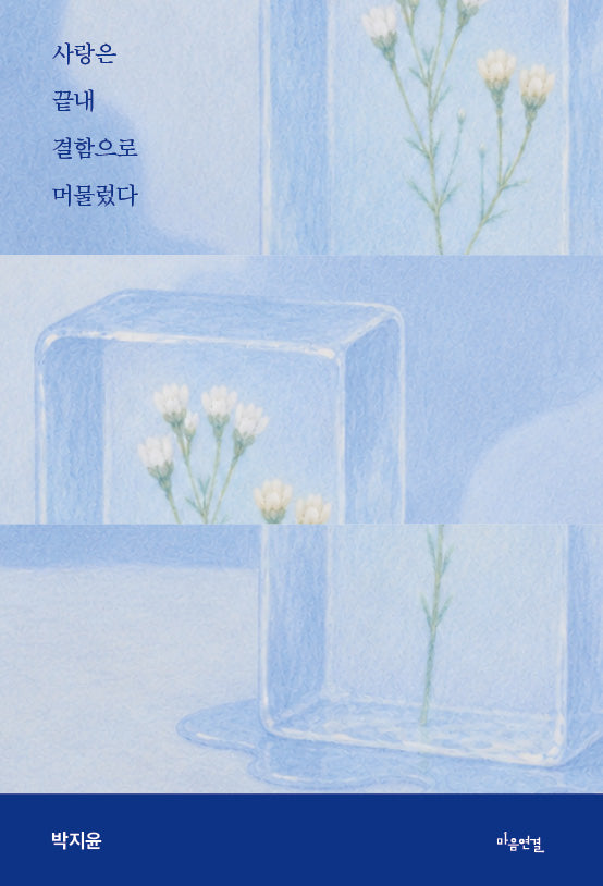 사랑은 끝내 결함으로 머물렀다