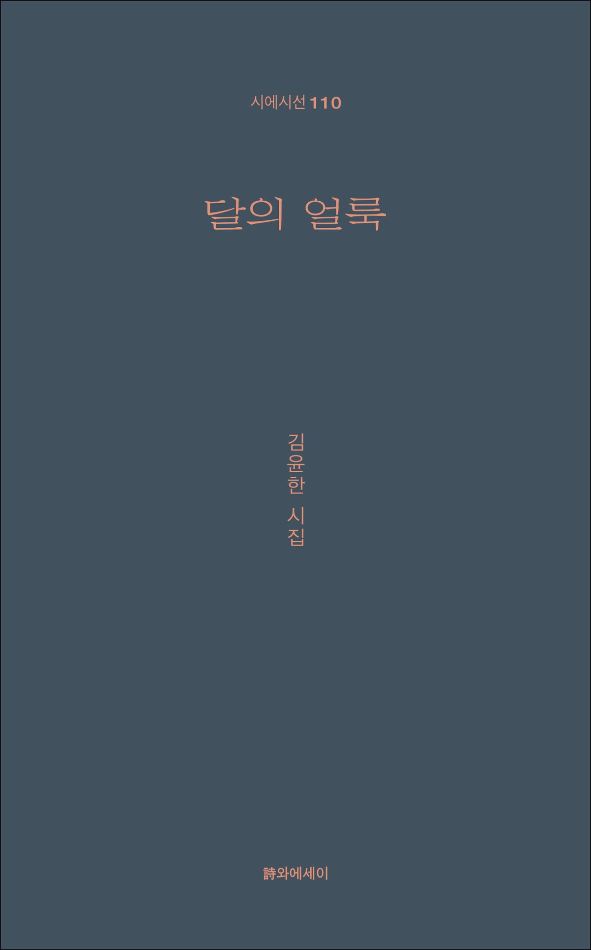 달의 얼룩(시에시선 110)(시에시선 110)