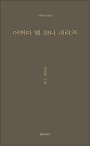 어쩌다 별 하나 내려와(시에시선 111)