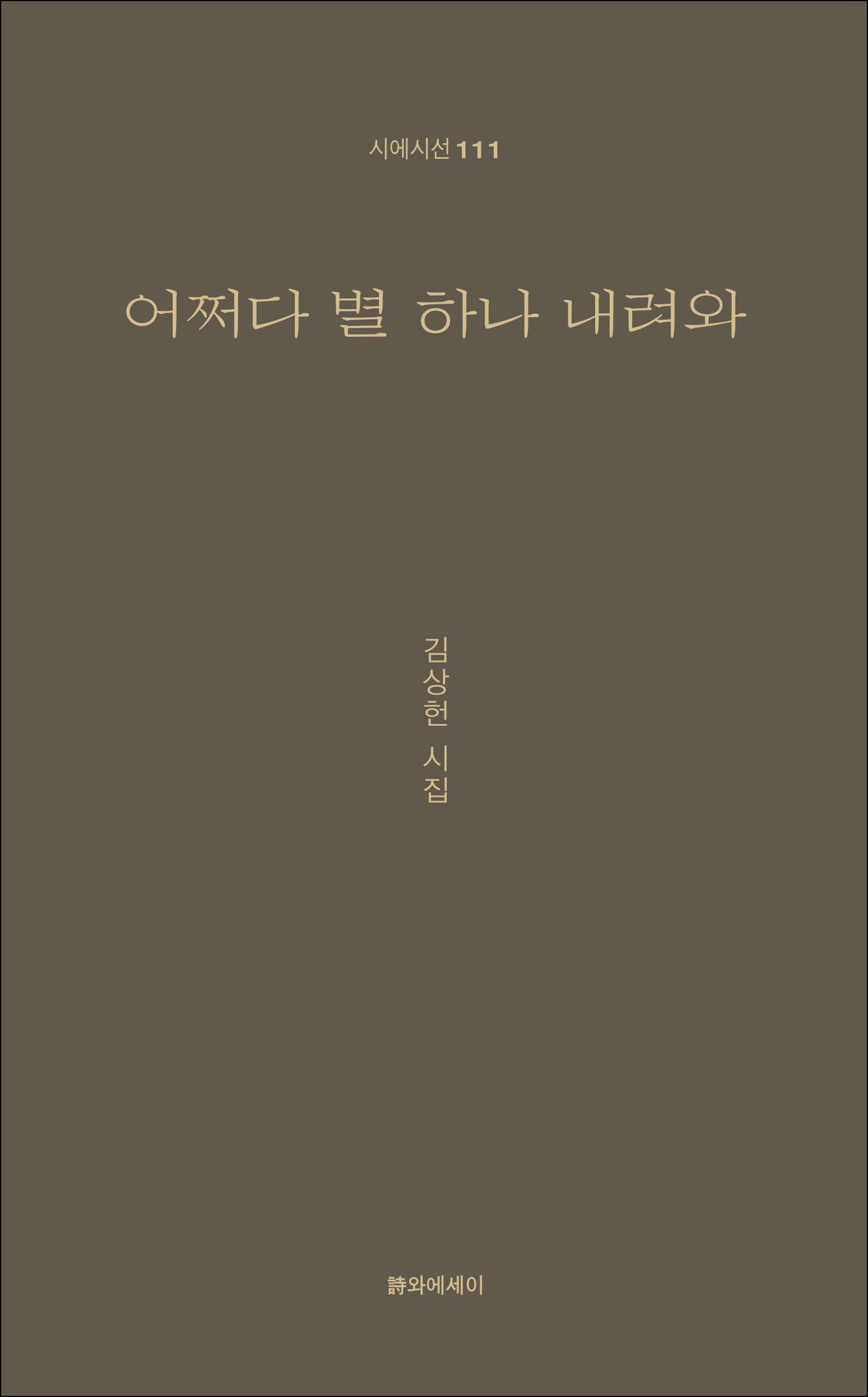 어쩌다 별 하나 내려와(시에시선 111)