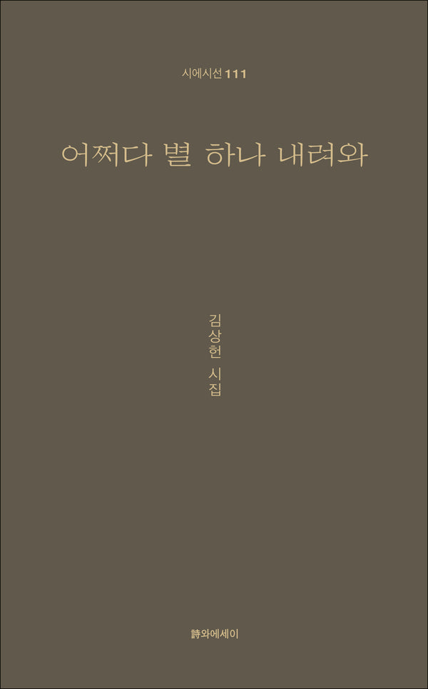 어쩌다 별 하나 내려와(시에시선 111)