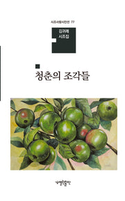 청춘의 조각들(시조사랑시인선 77)