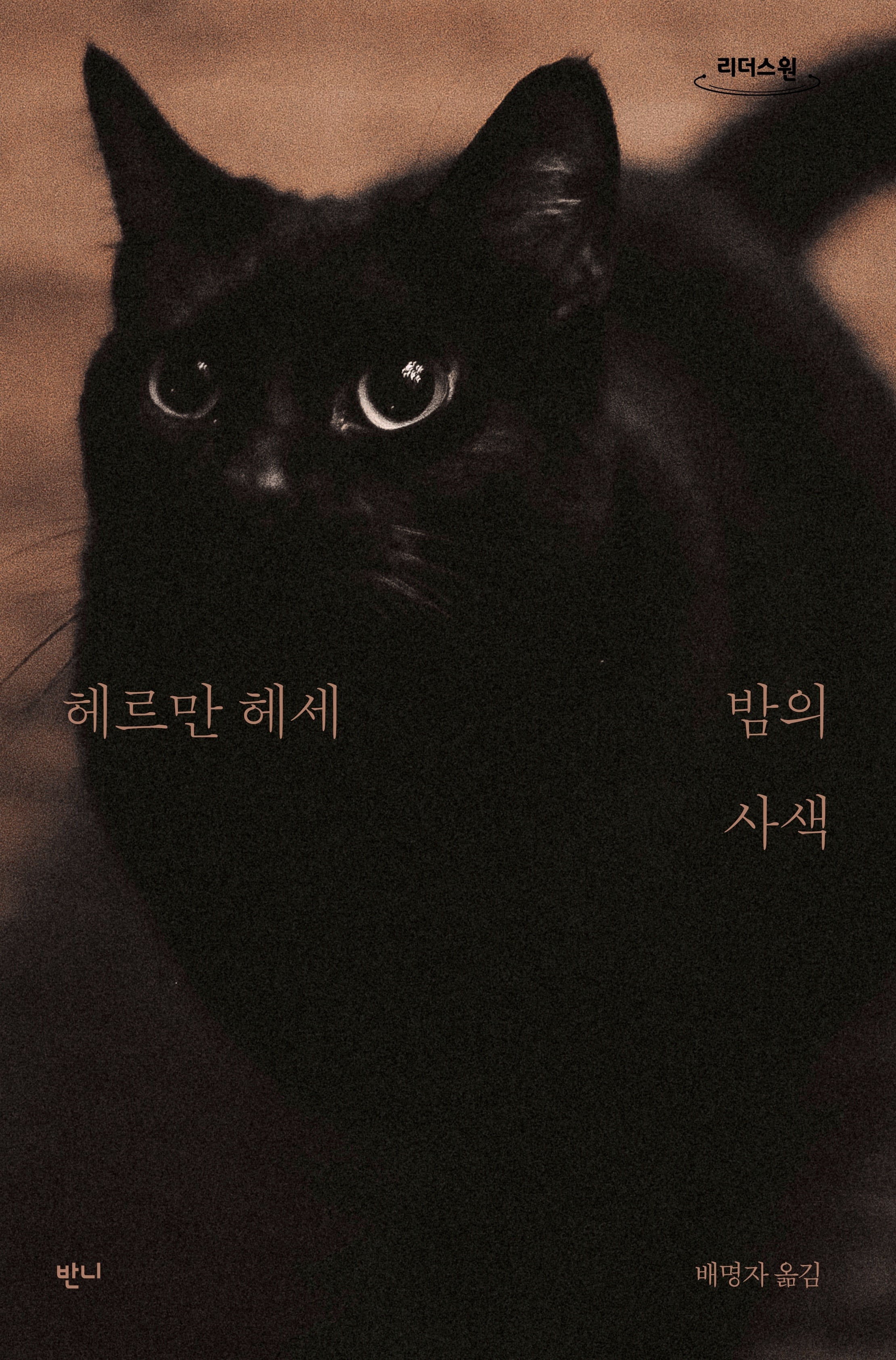 밤의 사색(큰글자도서)(리더스원)