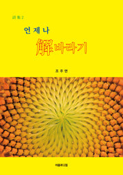 언제나 해바라기