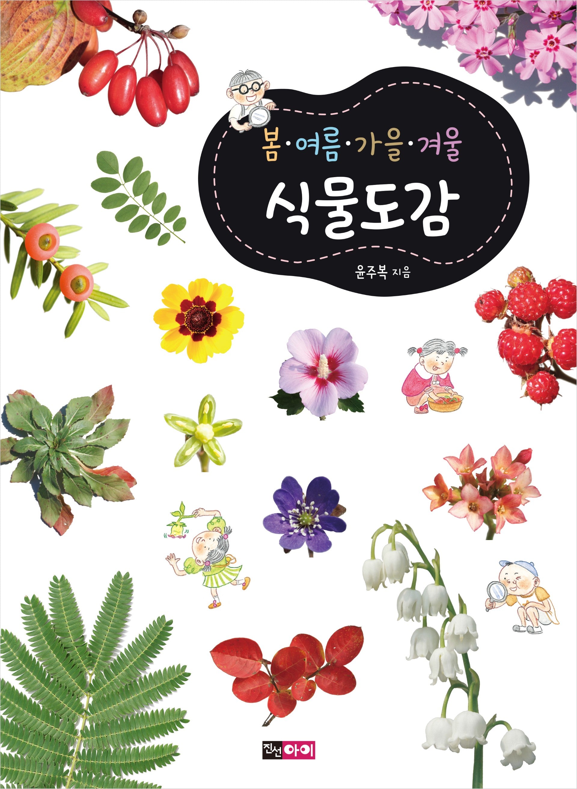 봄ㆍ여름ㆍ가을ㆍ겨울 식물도감(개정판)(봄ㆍ여름ㆍ가을ㆍ겨울 도감 시리즈)