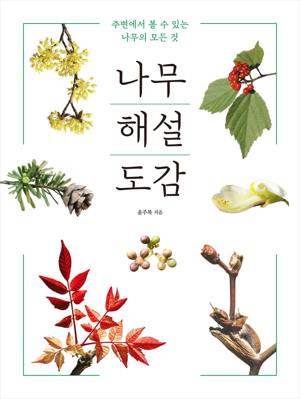 나무 해설 도감