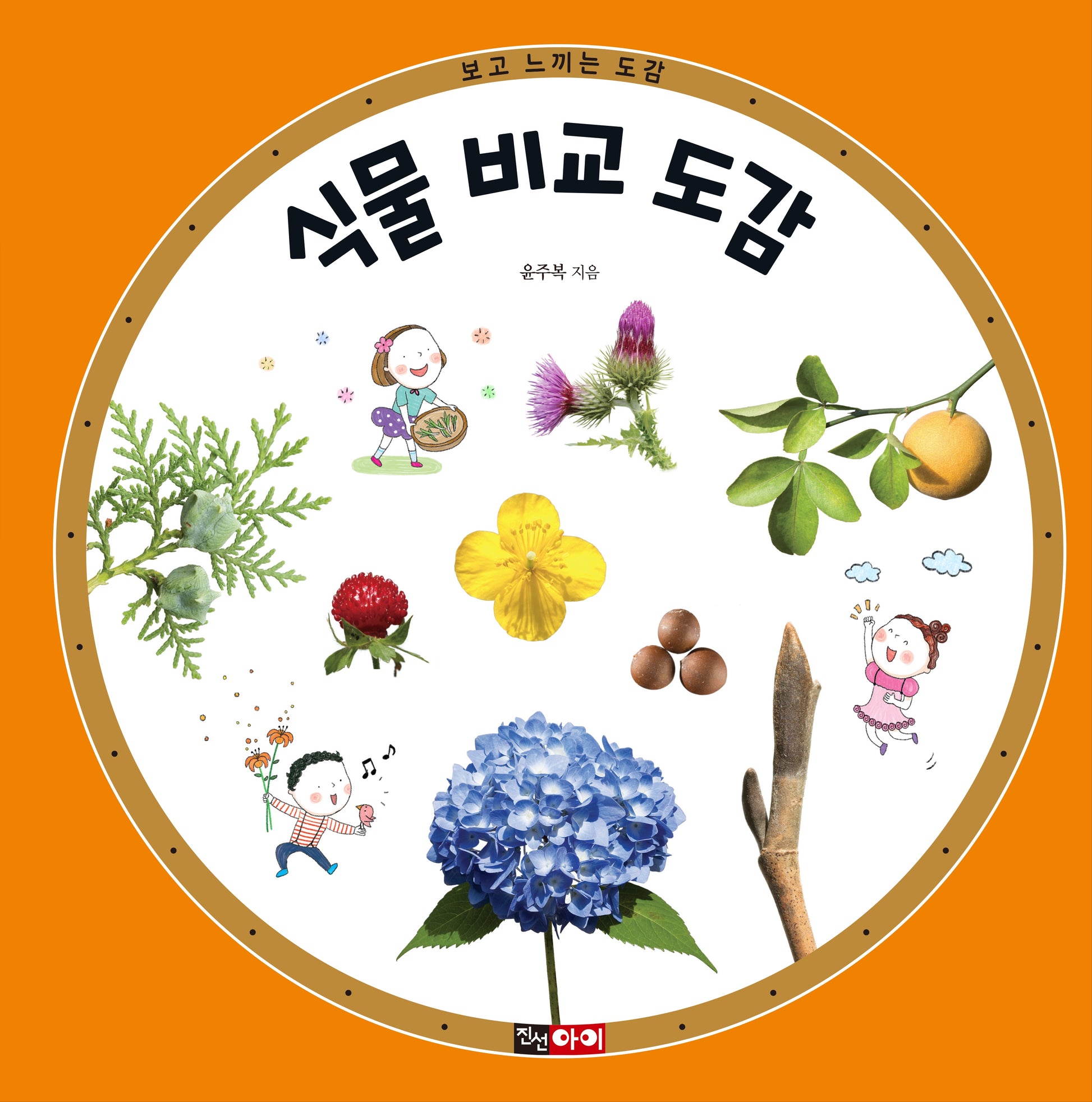 식물 비교 도감(보고 느끼는 도감 시리즈)