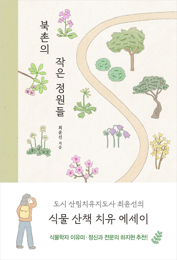 북촌의 작은 정원들