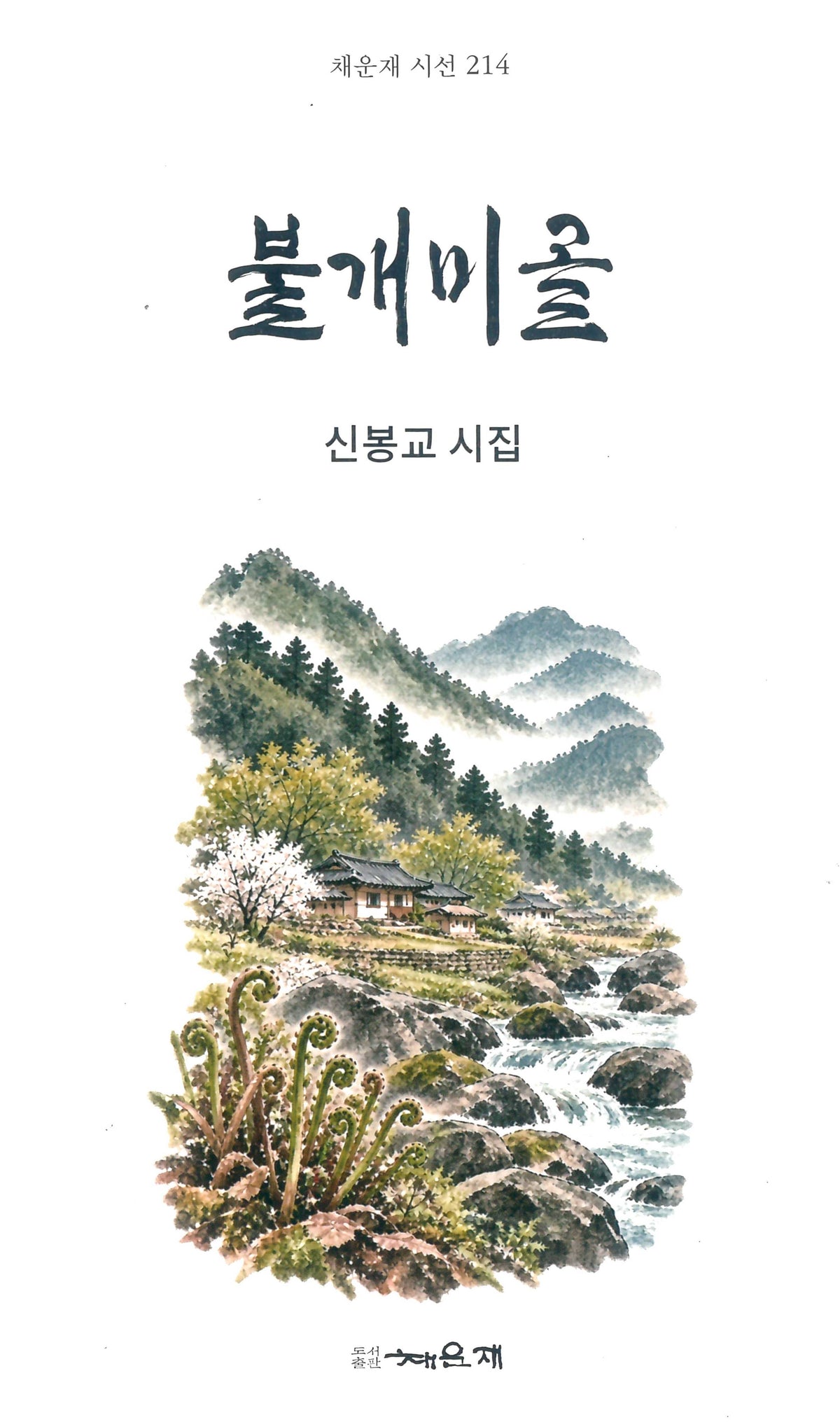 불개미골