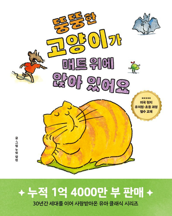 뚱뚱한 고양이가 매트 위에 앉아 있어요