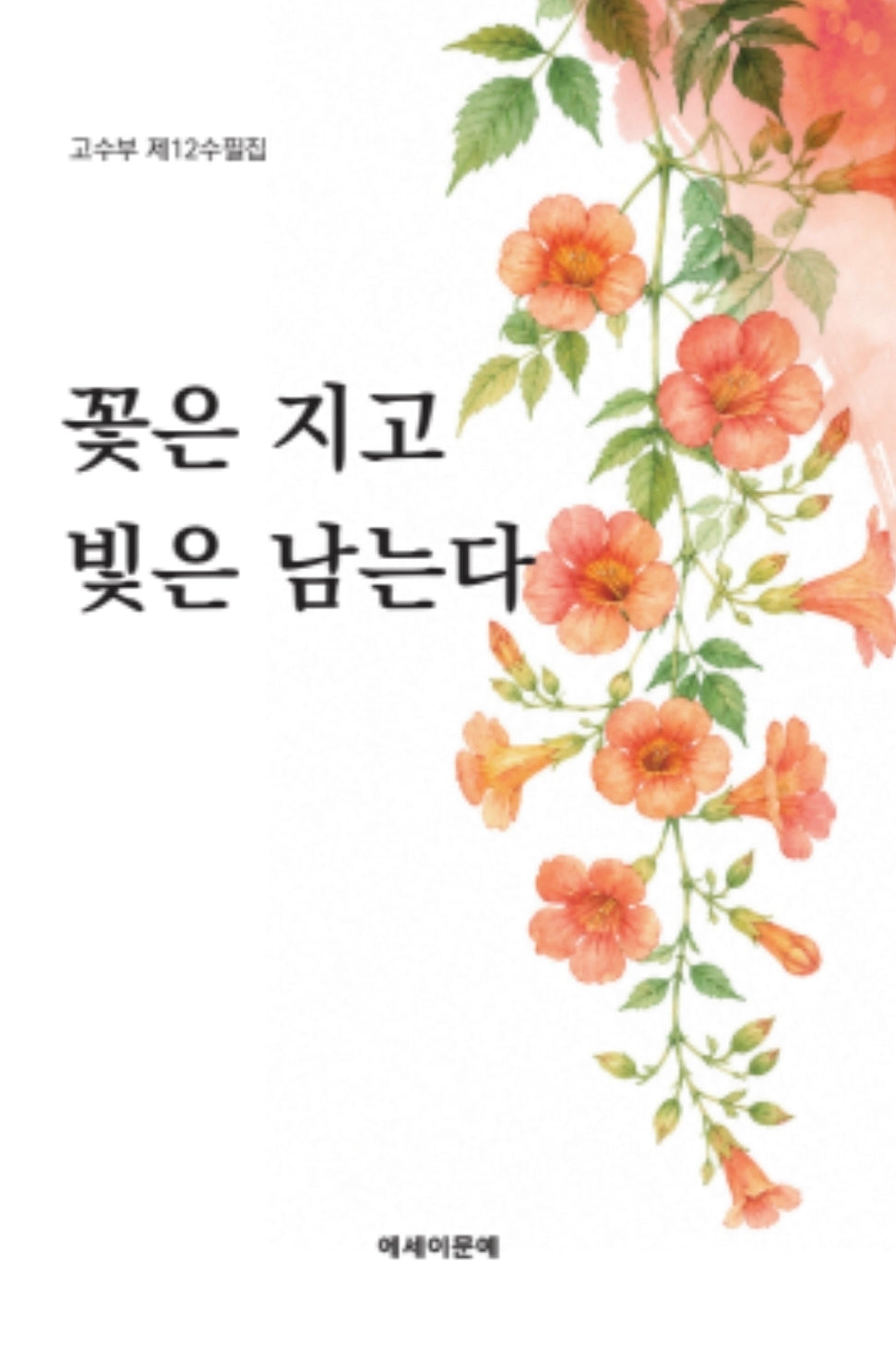 꽃은 지고 빛은 남는다(고수부 제 12수필집)