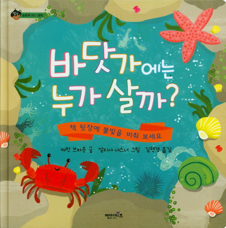 바닷가에는 누가 살까?(상상수프 숲동화 37)(양장본 HardCover)