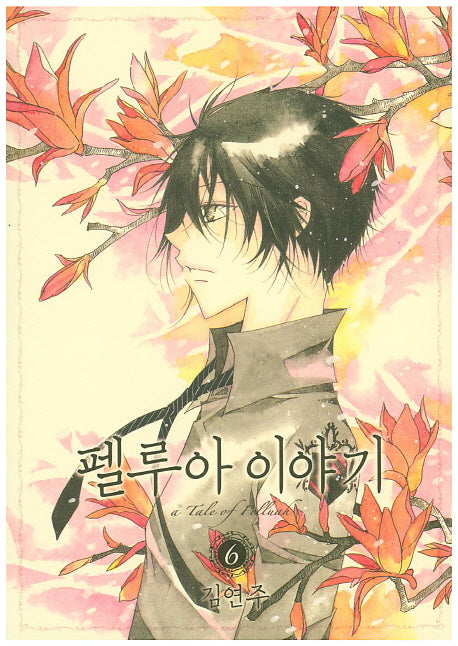 펠루아 이야기 6