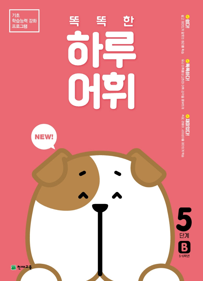 똑똑한 하루 어휘 5단계 B(NEW 똑똑한 하루 어휘)