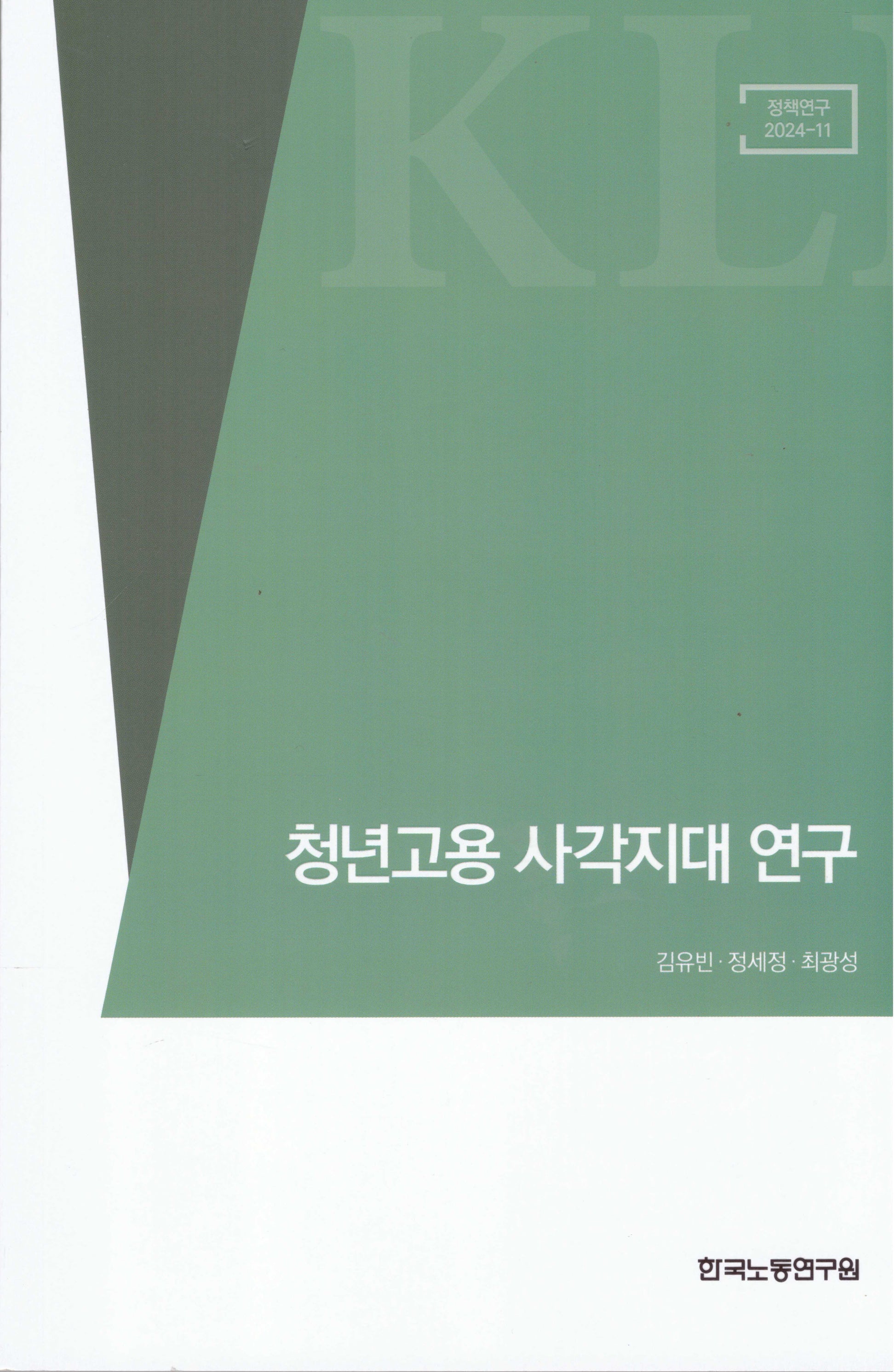 청년고용 사각지대 연구(정책연구 2024-11)