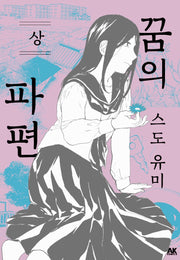 꿈의 파편(상)