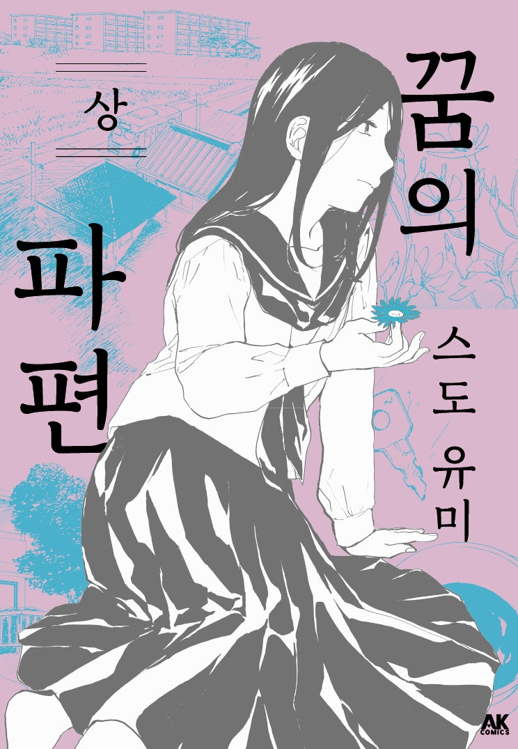 꿈의 파편(상)