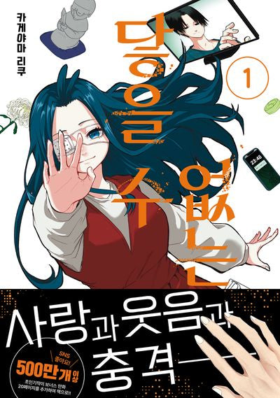 닿을 수 없는 너 1