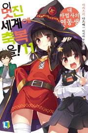 이 멋진 세계에 축복을! 11(L노벨(L Novel))