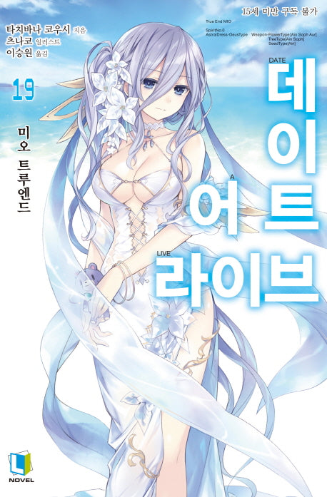 데이트 어 라이브 19(L노벨(L Novel))