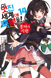 이 멋진 세계에 축복을! 14(L노벨(L Novel))