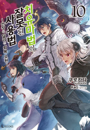 치유마법의 잘못된 사용법 10(L 북스(L Books))