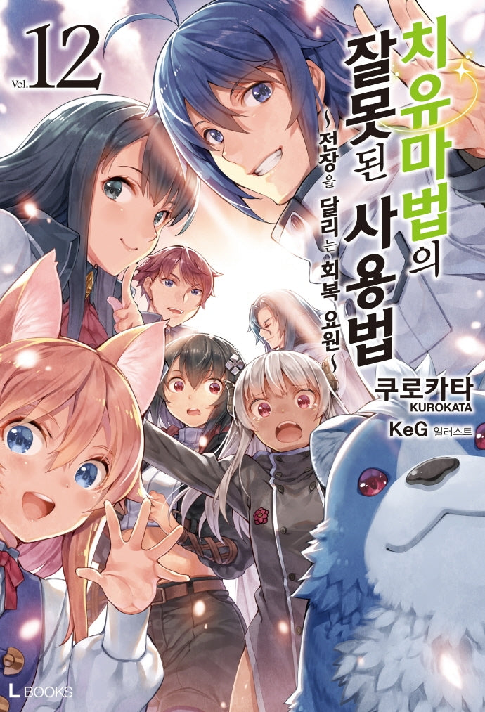 치유마법의 잘못된 사용법 12(완결)(L북스(L Books))