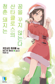 청춘 돼지는 산타클로스의 꿈을 꾸지 않는다 13(L노벨)