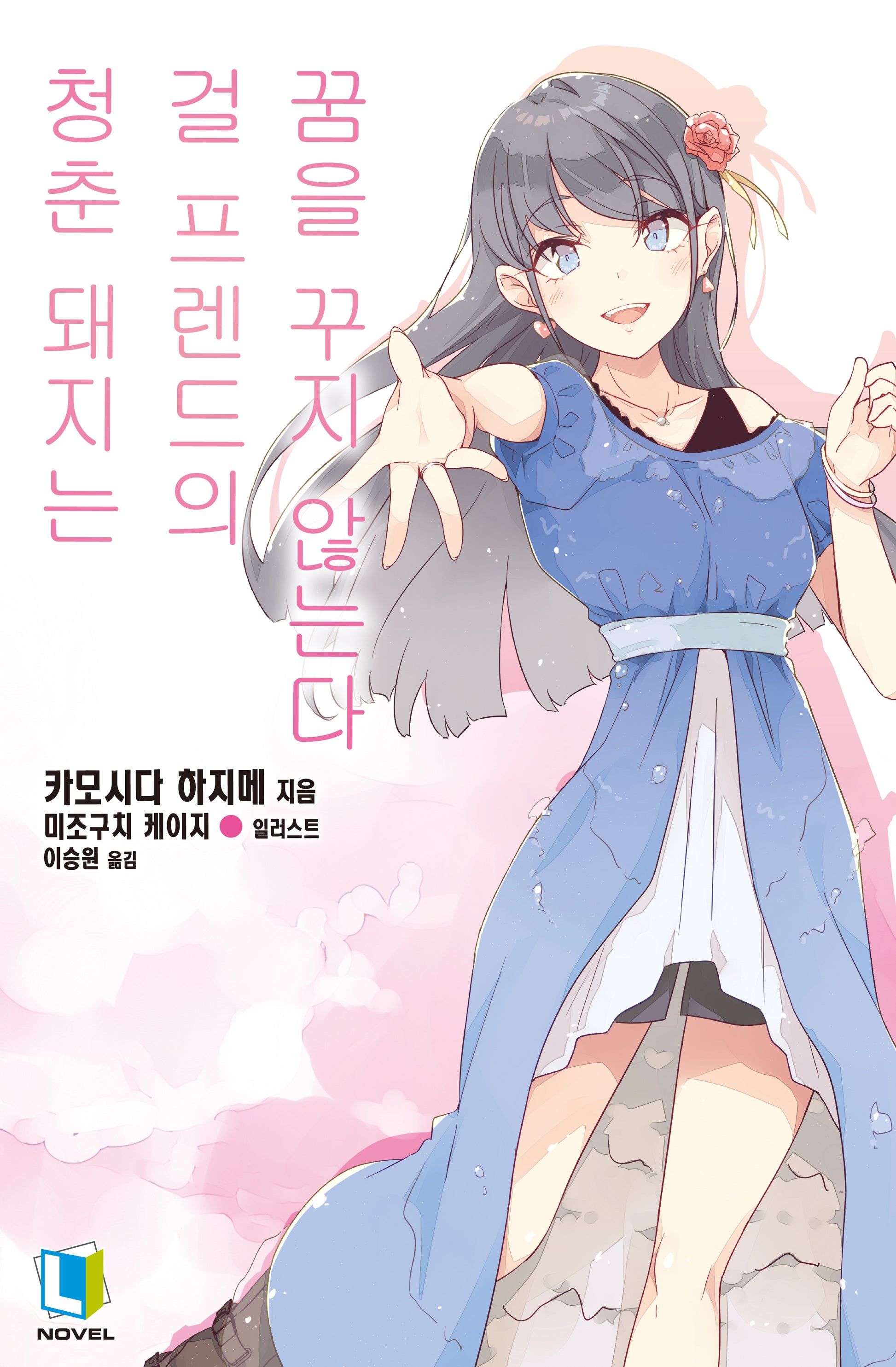 청춘 돼지는 걸 프렌드의 꿈을 꾸지 않는다 14(L노벨)
