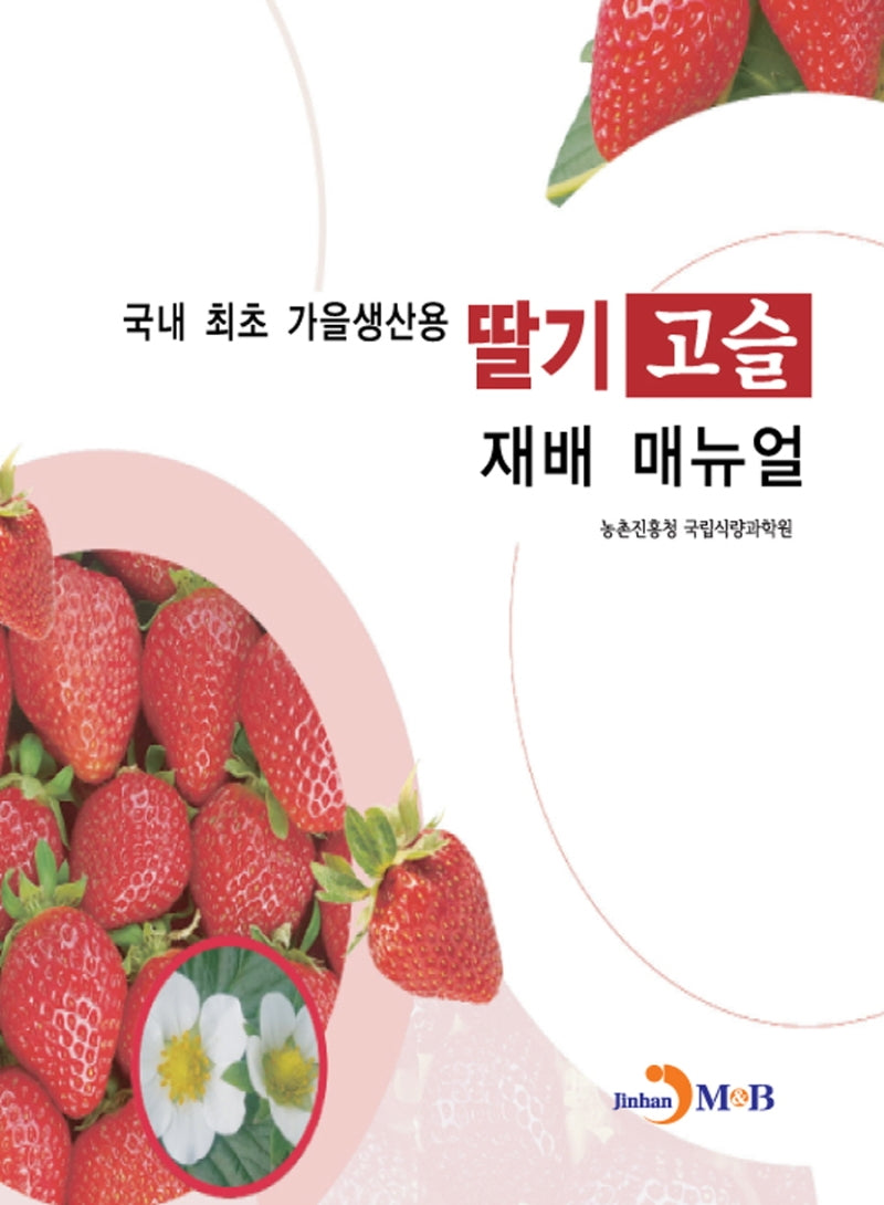 딸기 고슬 재배 매뉴얼