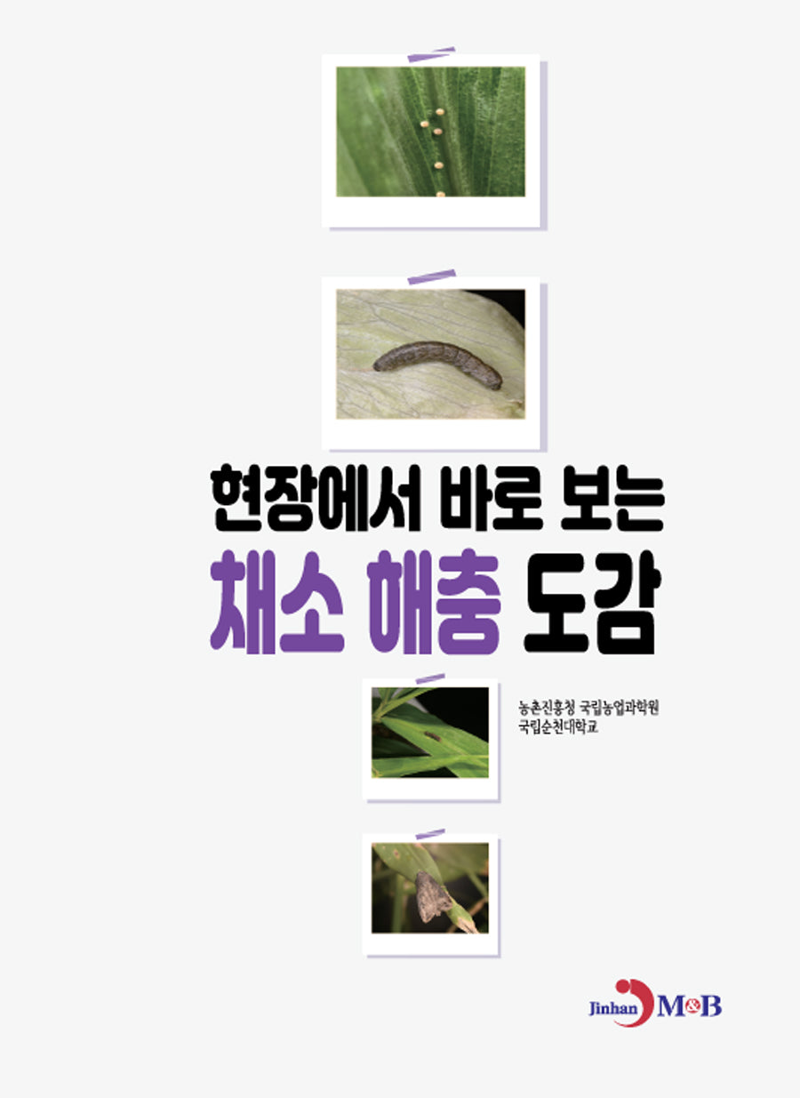 현장에서 바로 보는 채소 해충 도감
