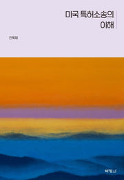 미국 특허소송의 이해(양장본 HardCover)