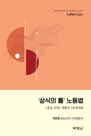 상식의 틀 노동법