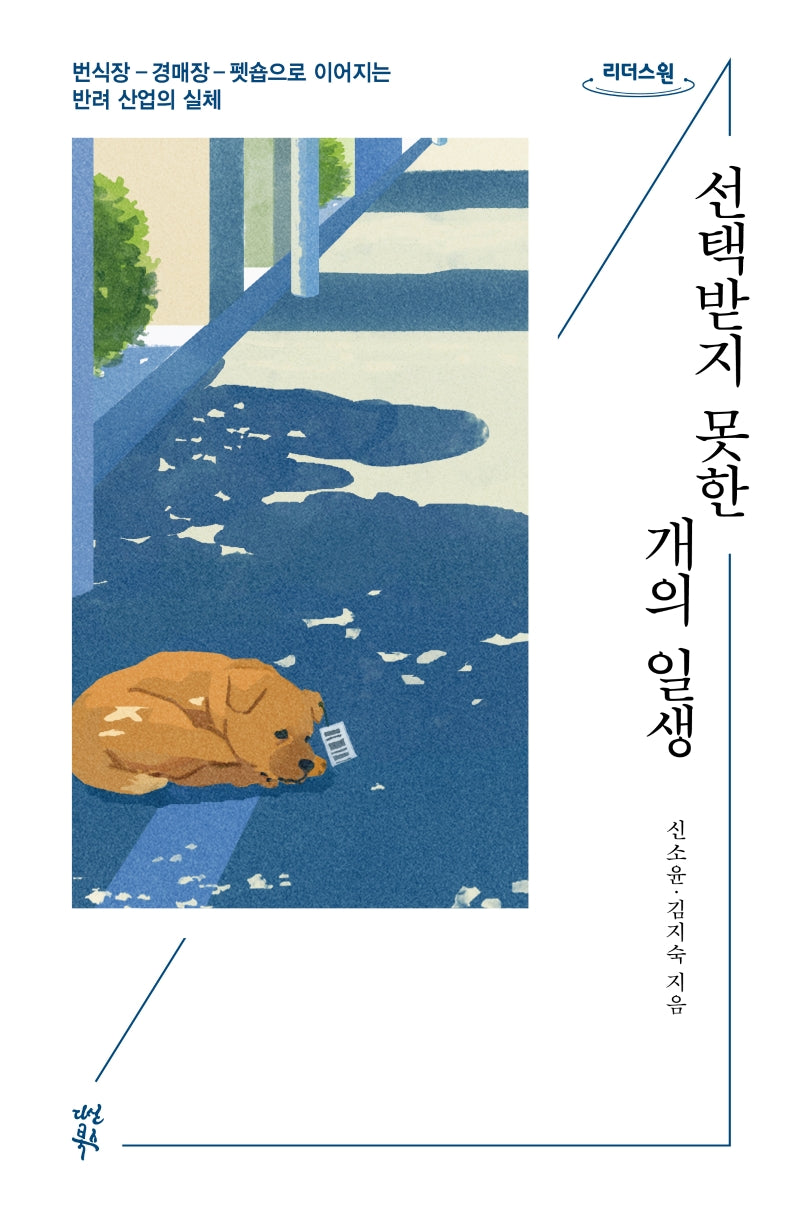 선택받지 못한 개의 일생(큰글자도서)(리더스원)