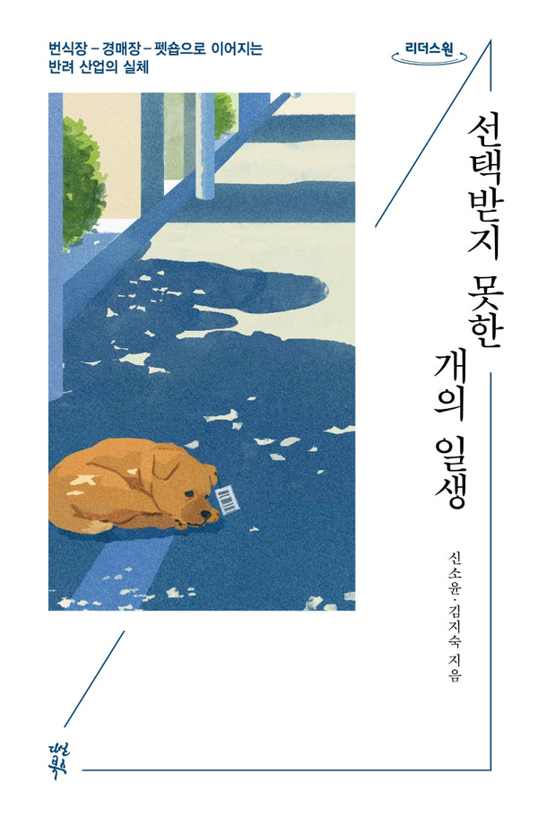 선택받지 못한 개의 일생(큰글자도서)(리더스원)