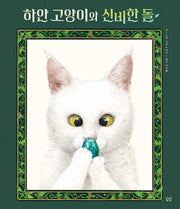 하얀 고양이와 신비한 돌(당신을 위한 그림책, You)(양장본 Hardcover)